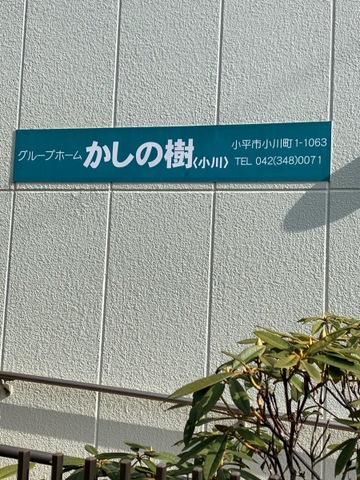 かしの樹＜小川＞