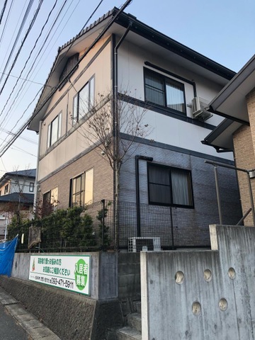 もみの木