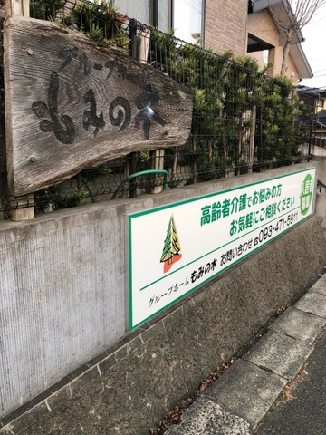 もみの木