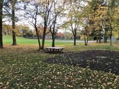 新琴似二番通公園