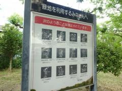 中部緑地