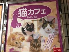 にゃんくる　蒲田店