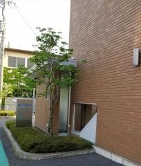 藤沢眼科