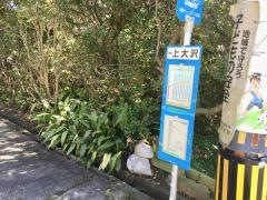 「上大沢」バス停留所
