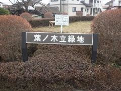 葉ノ木立緑地
