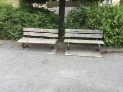 西府緑地