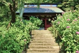 妙法寺（苔寺）