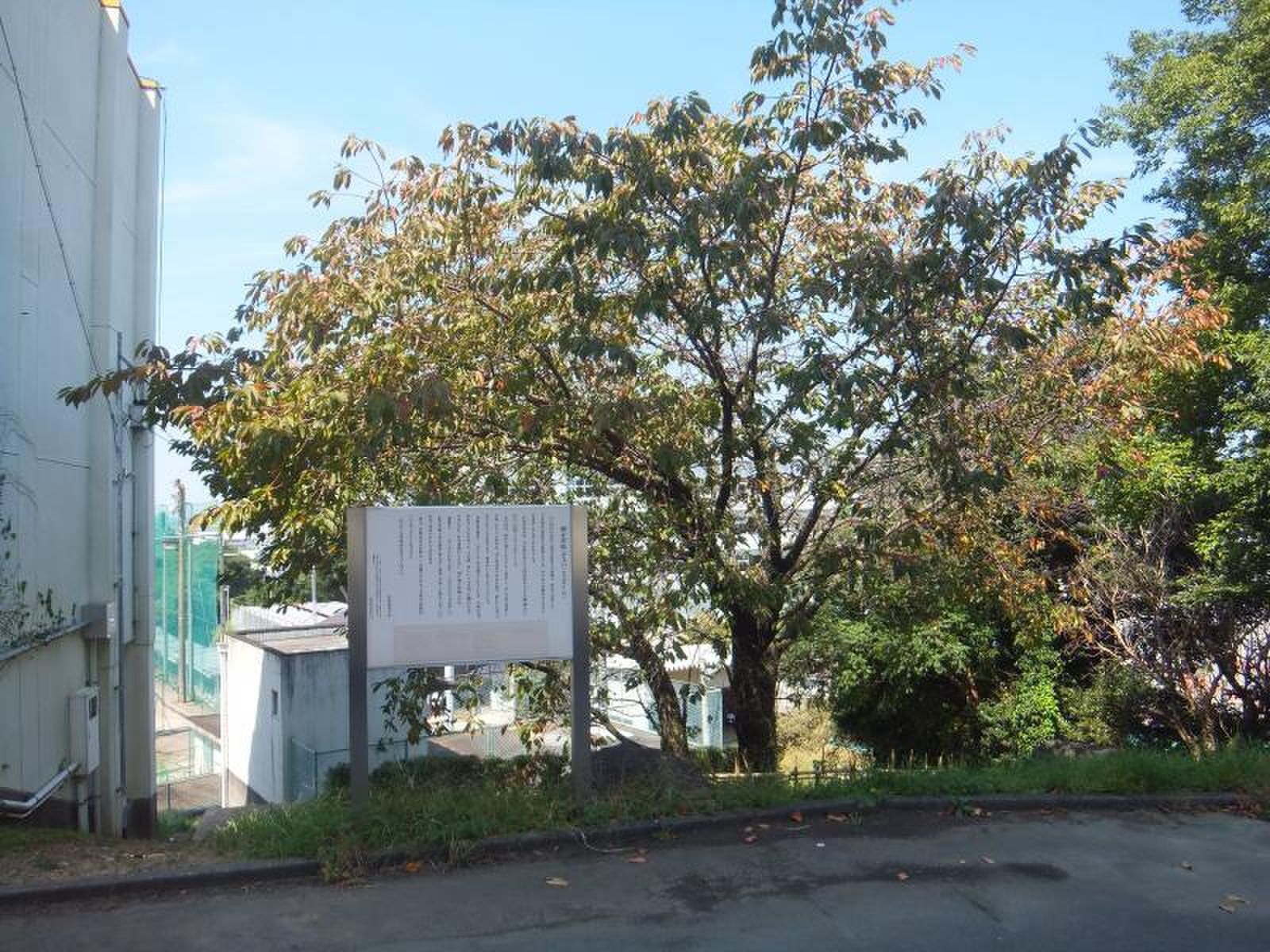 三重 県立 伊勢 高等 学校
