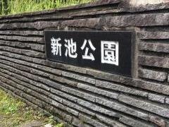 新池公園