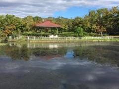 新池公園