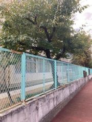 岸和田市立光陽中学校