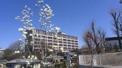 常翔啓光学園高等学校