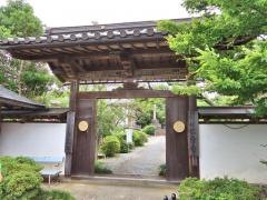 隠岐国分寺