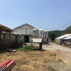 雪ケ峰牧場
