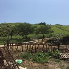 雪ケ峰牧場