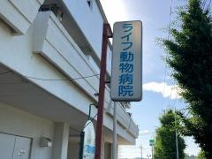 ライフ動物病院