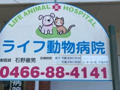 ライフ動物病院