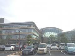 桜図書館