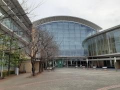 桜図書館