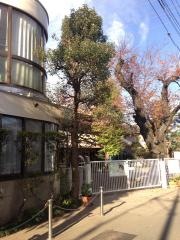 植竹幼稚園