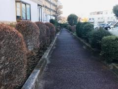 植竹遊歩道
