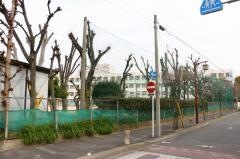 港楽小学校