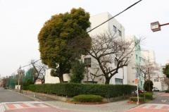 港楽小学校