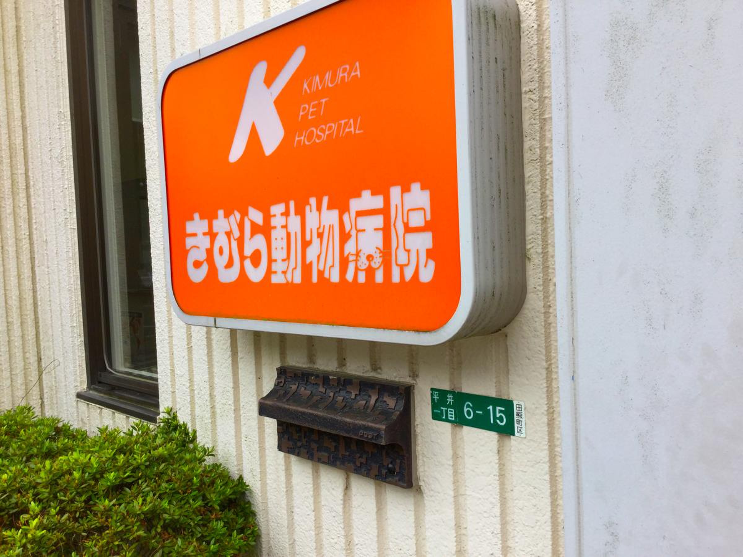 きむら 動物 病院