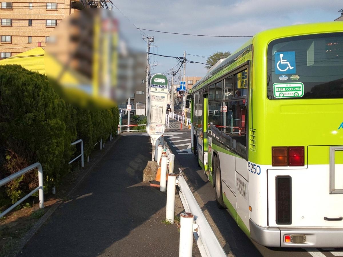 日向