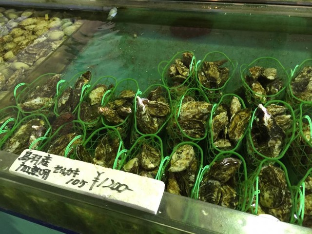施設写真237