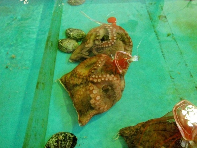 施設写真223