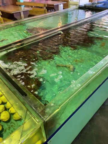 施設写真17