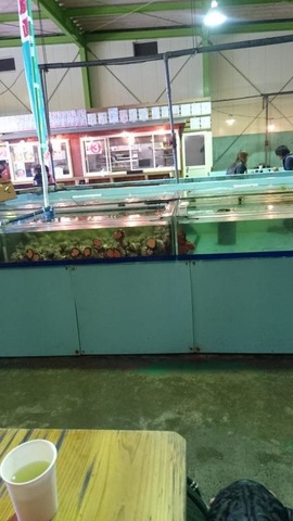施設写真239