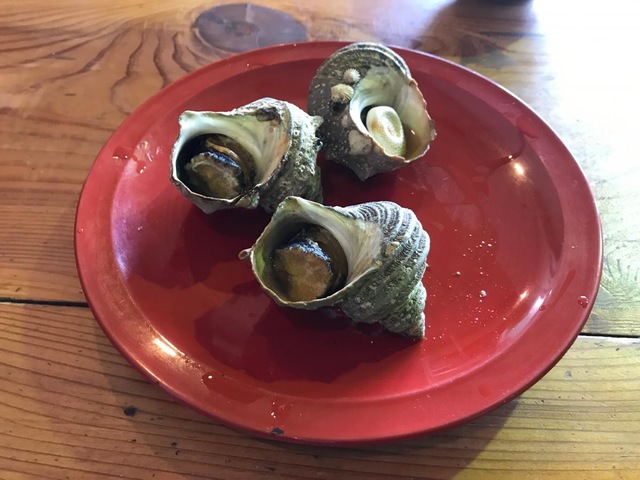 施設写真196