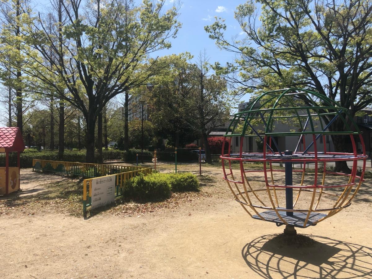 公園内の様子