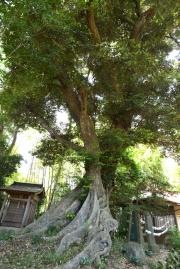 大井香取神社