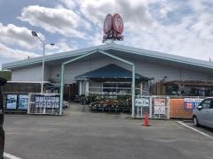 コメリハード＆グリーン　海上店