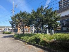 川村街園