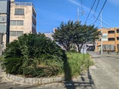 川村街園