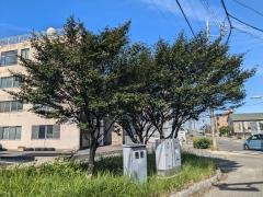川村街園