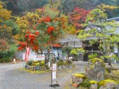 金剛院