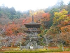 金剛院