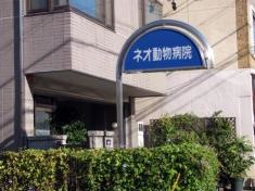 ネオ動物病院