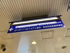 シロアム教会