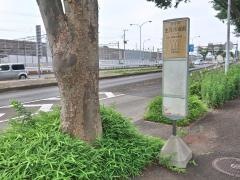 「生花市場前」バス停留所
