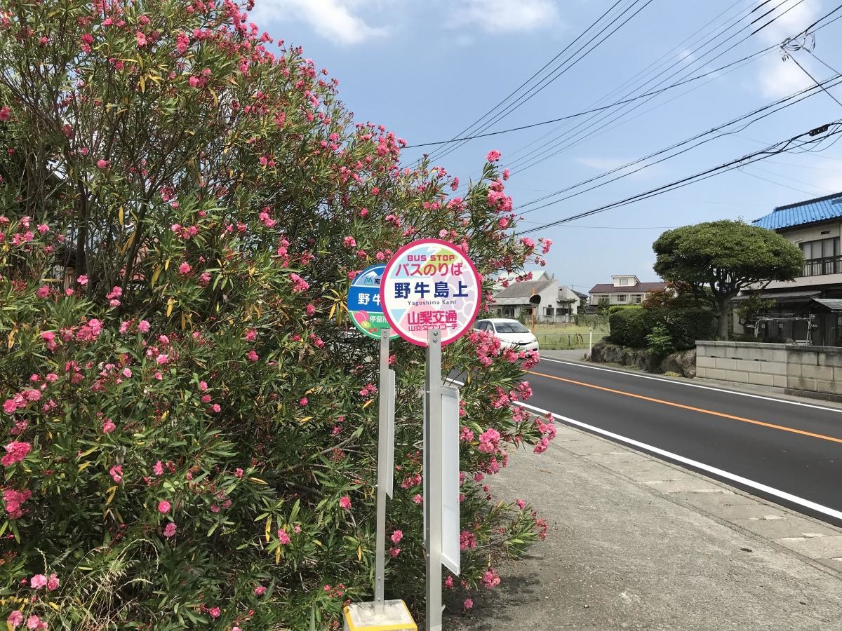 「野牛島上」バス停留所２