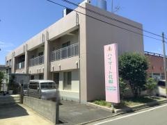 花梨