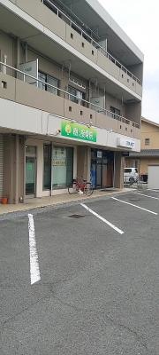 樹接骨院