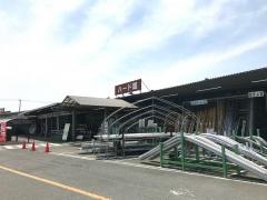 ホームジョイ本田潮来店