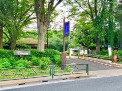 東京都立石神井公園